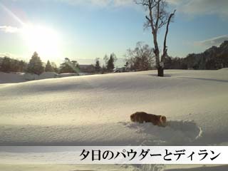 奥山田温泉　山田牧場